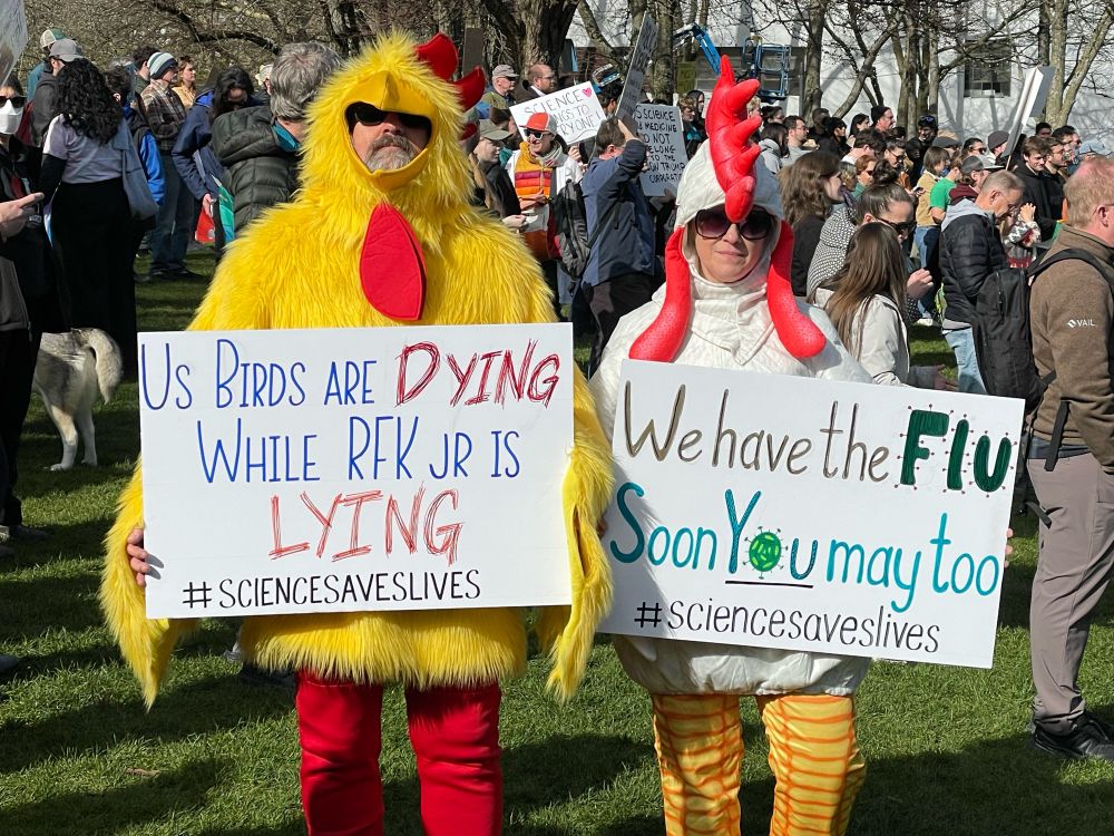 Two people in chicken costumes hold signs at the science rally. A man in a fuzzy yellow chicken suit with red leggings holds a sign that reads, “Us birds are dying while RFK Jr is lying. #sciencesaveslives.” Next to him, a woman in a white and red chicken suit with yellow leggings holds a sign that reads, “We have the Flu. Soon you may too. #sciencesaveslives”