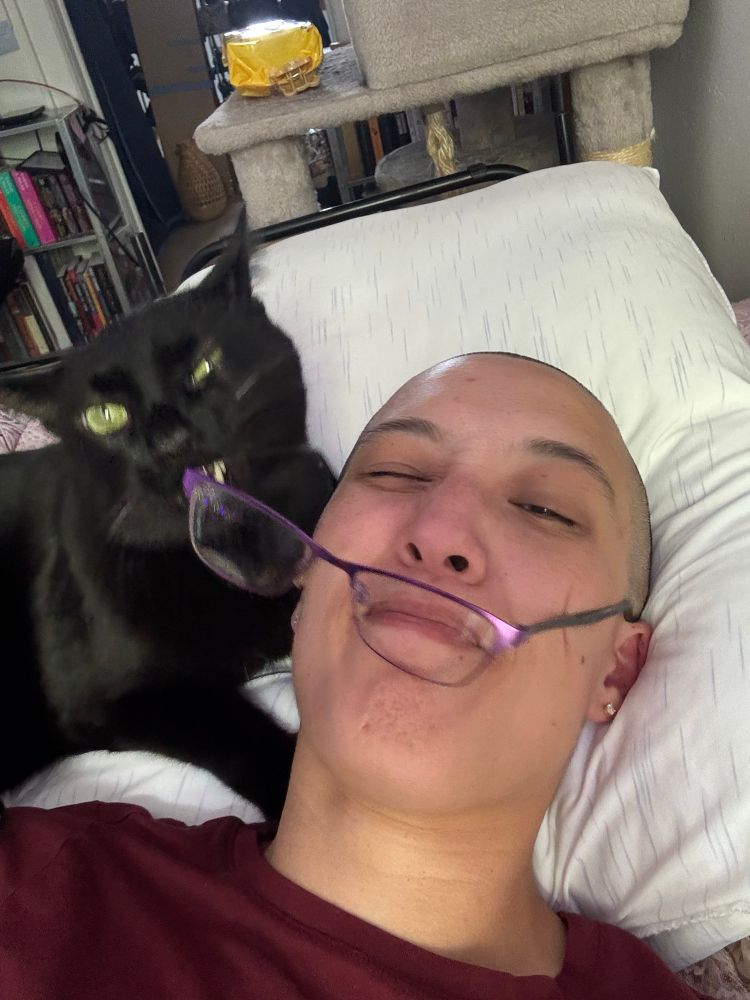 A black cat pulls the glasses off a woman’s face. 