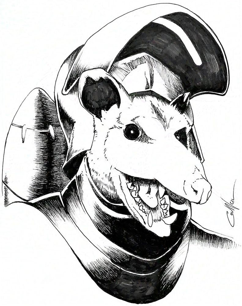 Black and white illustration of a possum with a jetpack wearing a suit of armor. Ink on paper