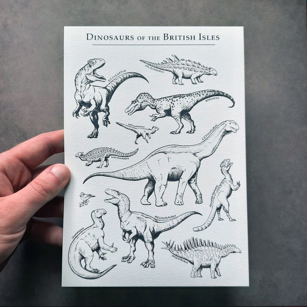Illustration of dinosaurs associated with the British Isles. #bleachedbones
