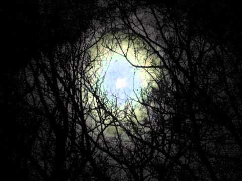 My Dying Bride - Sear me