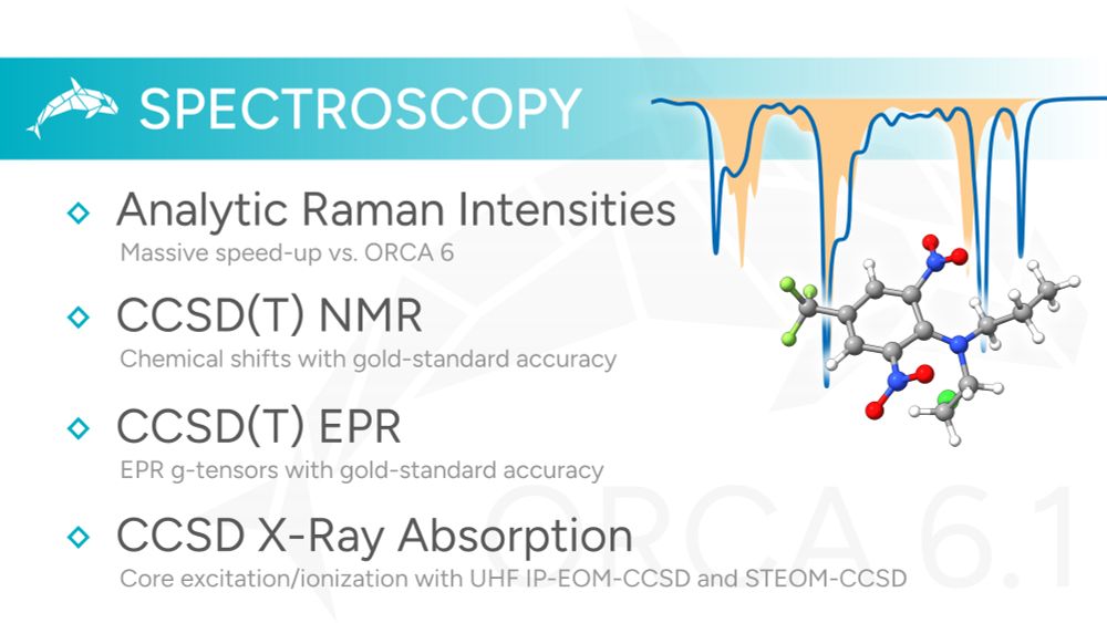 Ney spectroscopy features in ORCA 6.1.