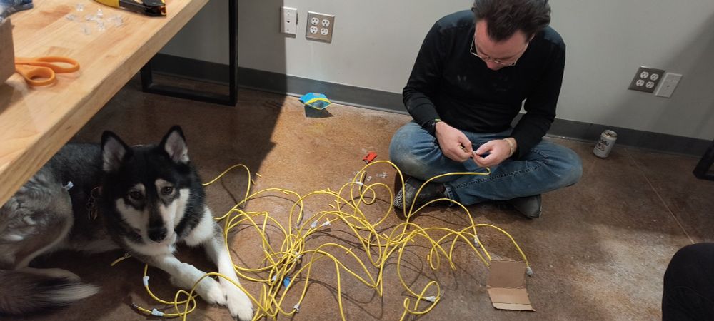 Dog sitting in a pile of computer cables with their owner
