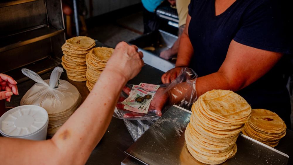 Mexican cartels taking control of tortilla industry - Replaye