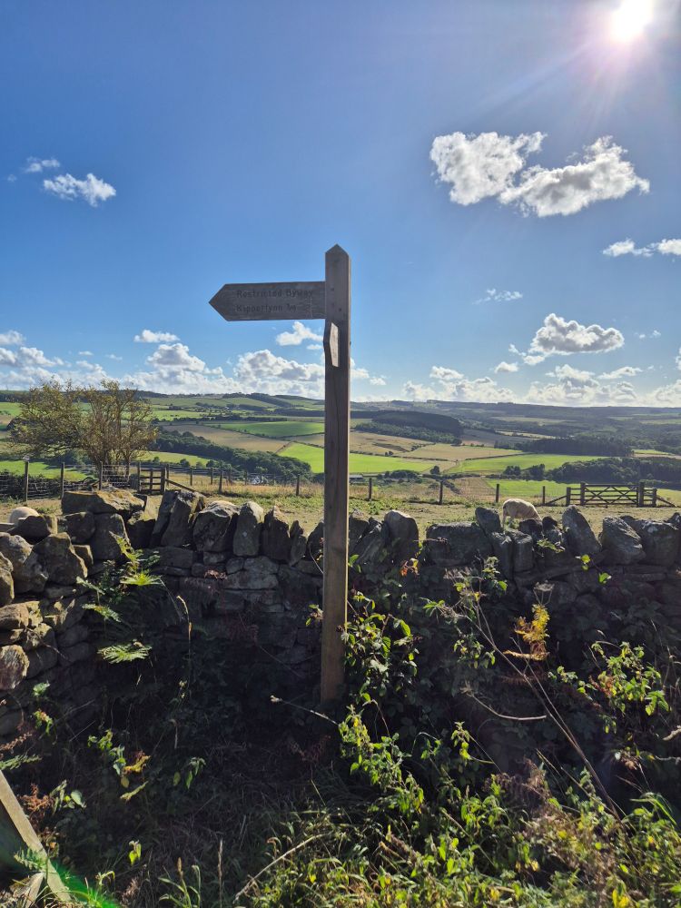 a fingerpost pointing left. behind it is a dry stone wall. Behind the wall are rolling green hills with a patchwork of fields. The sky is bright blue with fluffy white clouds 