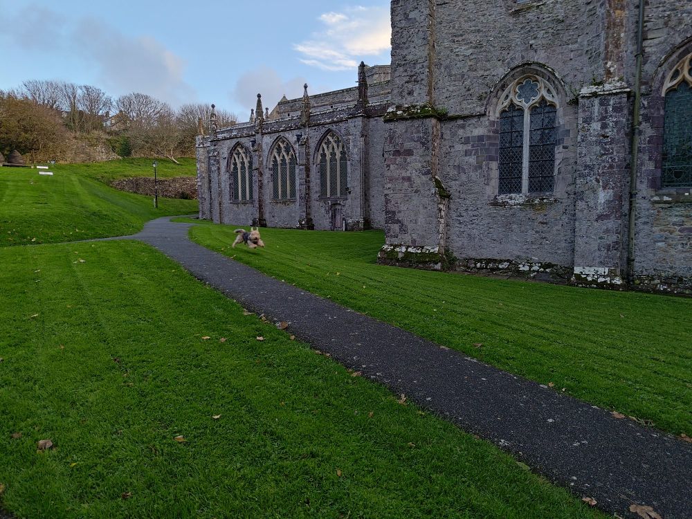 Arvo runs happily around an old cathedral