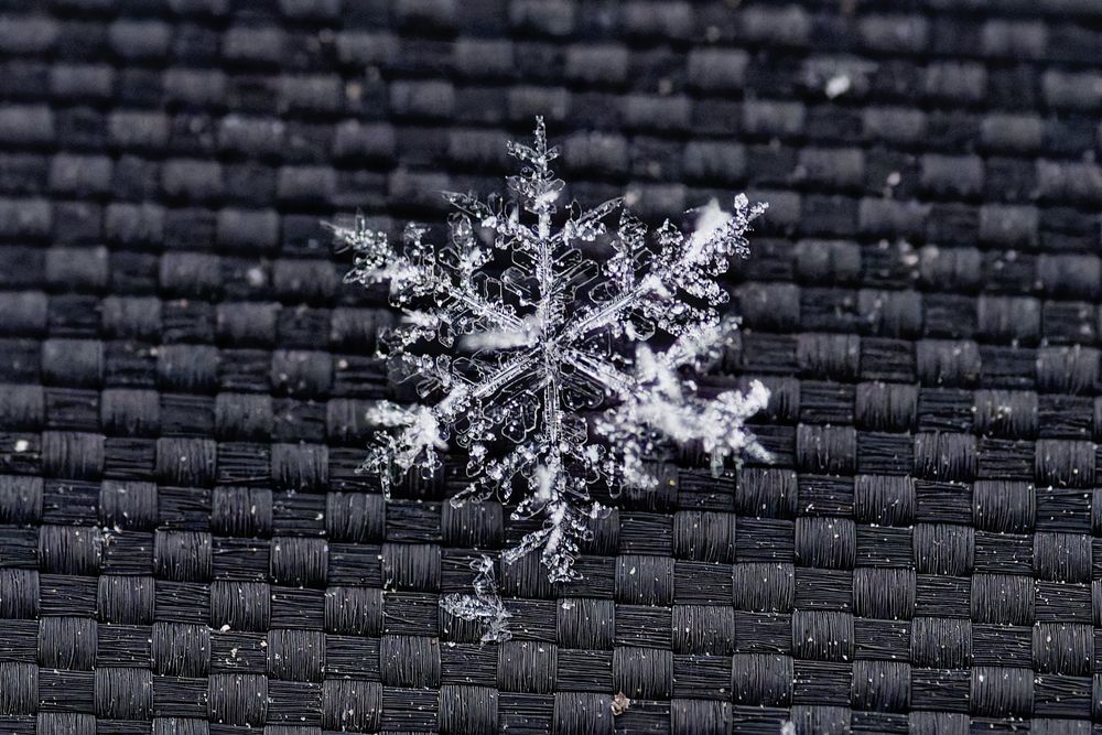 Close up lone snowflake on a black mesh background