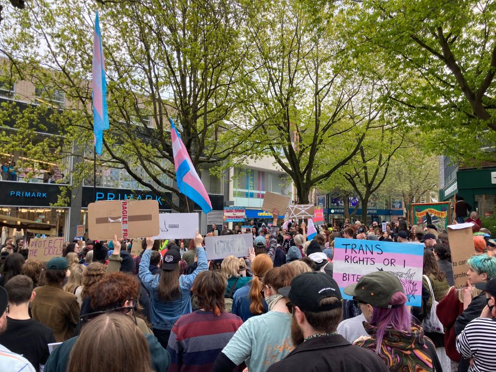 Hundreds of people gather holding signs and the trans rights flag