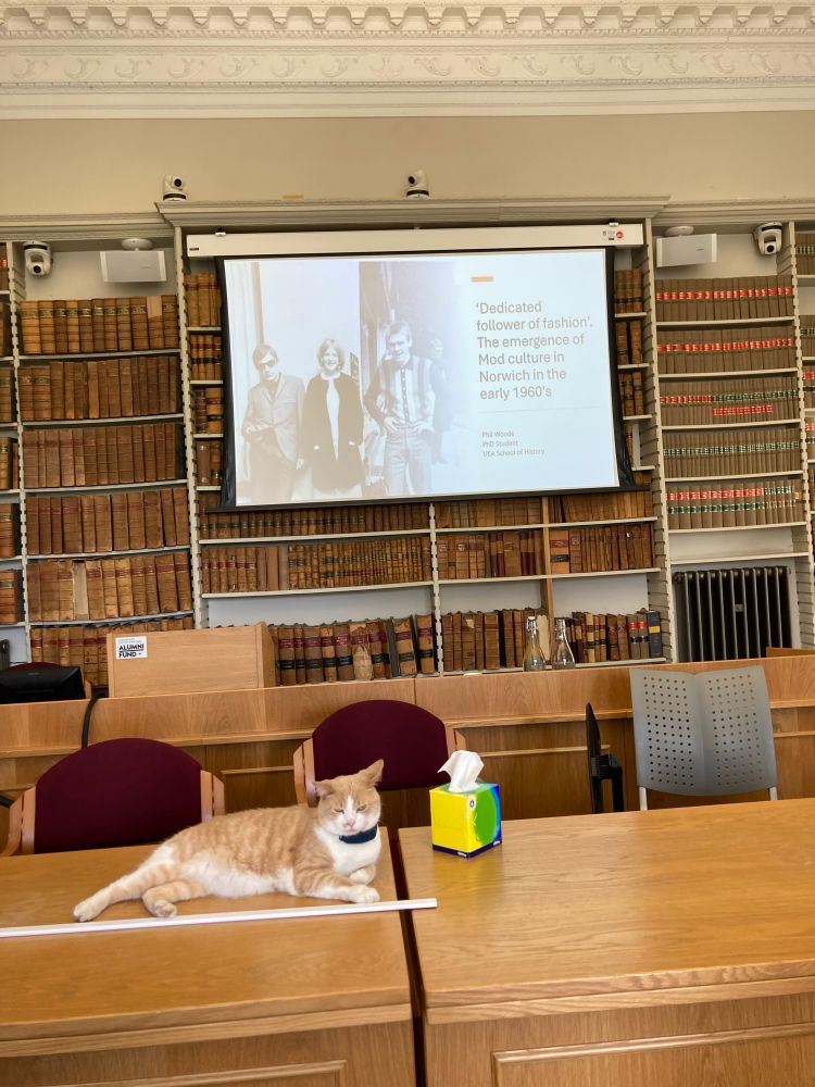 A ginger and white cat on a desk in front of a power point presentation. 
