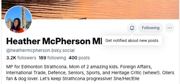 Heather McPerson's profile from her real account, @heathermcpherson.bsky.social