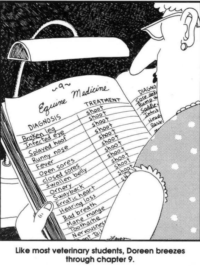 Far Side cartoon of horse ailments where all the "treatments" are just "shoot".