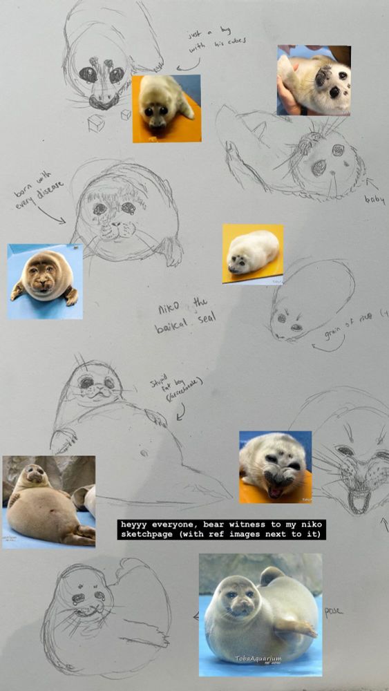 a doodle sketchpage of different nikos! niko is a baikal seal that always looks like he’s on the verge of crying

text on the image says “heyyy everyone, bear witness to my niko sketchpage (with ref images next to it)”