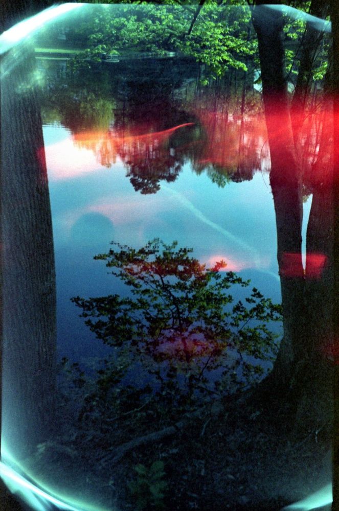 Photo of trees reflected in a lake with light leaks, including a blue ring around the edge of the photo