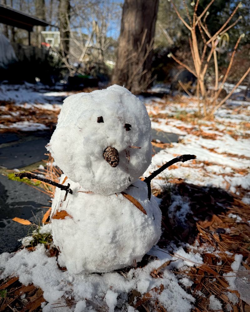 A little snow person with a pinecone nose
