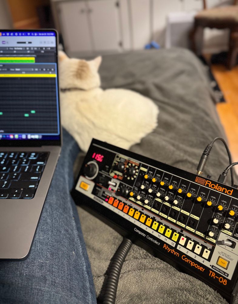 A photo of someone sitting legs outstretched on a bed with a laptop computer, a drum machine, and a white cat 