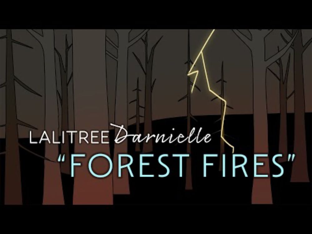 Lalitree Darnielle - "Forest Fires" OFFICIAL VIDEO