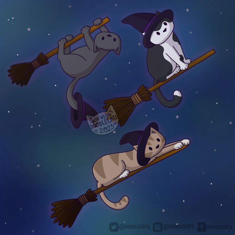 Three cartoon cats on broomsticks, with witches hats