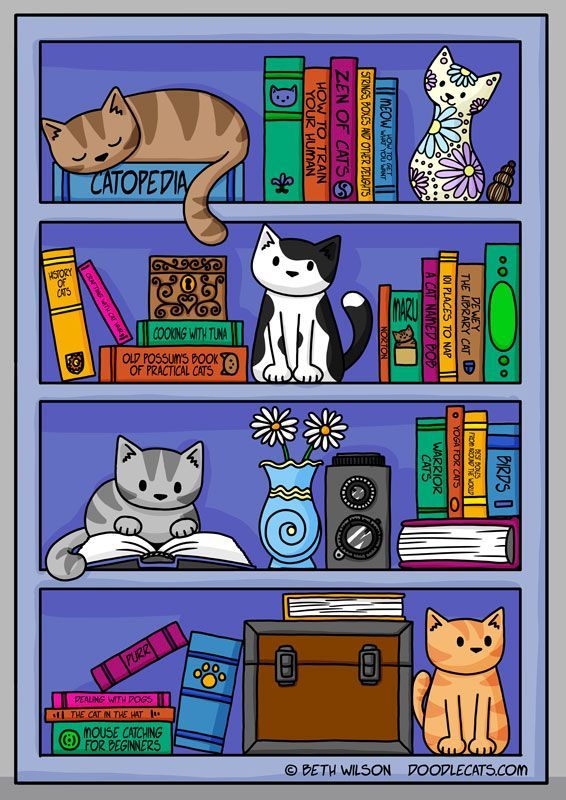 A cartoon bookcase with four shelves. each shelves has books and nick nacs on it, plus a cat that has managed to find a space to sit.