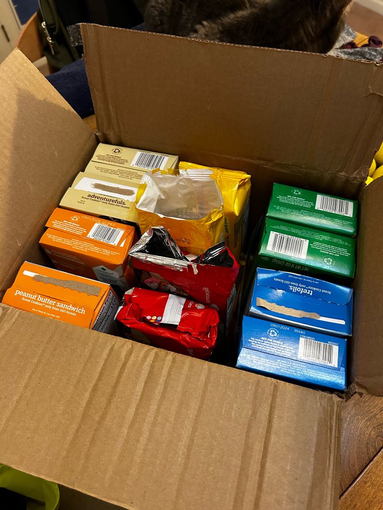 12 boxes of Girl Scout cookies.