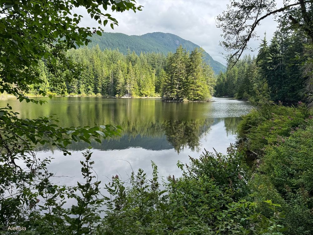 Overlooking Rice Lake in North Vancouver, British Columbia. The sun is shining through the cloudy sky and there are several mountains and trees in the distance.