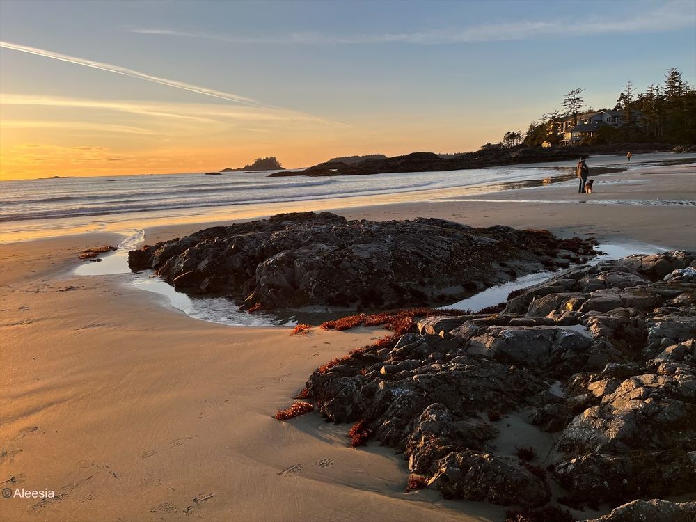The sun setting over the Pacific Ocean on Vancouver Island, British Columbia. It’s low tide, so there are large rocks exposed on the sandy beach. The sky is mostly clear with a few clouds, and there are several islands and trees in the distance.