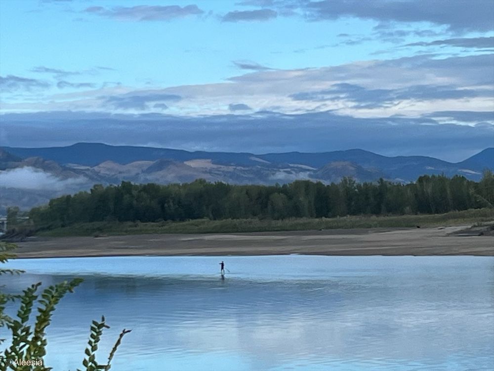 A man on a paddle board in the open water. The sky is blue with scattered clouds and there are several mountains and trees in the distance.