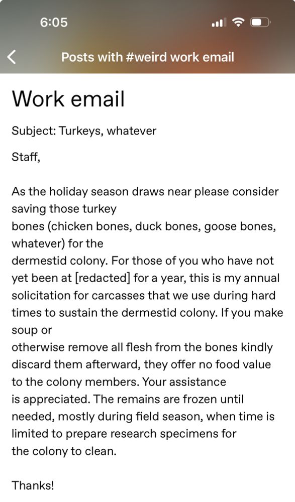 Screencap of an email reading,

Subject: Turkeys, whatever

Staff,

As the holiday season draws near please consider saving those turkey bones (chicken bones, duck bones, goose bones, whatever) for the dermestid colony. For those of you who have not yet been at [redacted] for a year, this is my annual solicitation for carcasses that we use during hard times to sustain the dermestid colony. If you make soup or otherwise remove all flesh from the bones kindly discard them afterward, they offer no food value to the colony members. Your assistance is appreciated. The remains are frozen until needed, mostly during field season, when time is limited to prepare research specimens for the colony to clean.

Thanks!