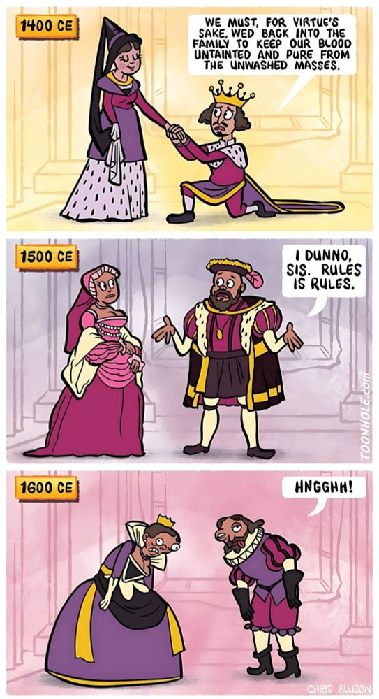 A 3 panel comic. Panel 1 is a picture of a mediaeval king in front of a pretty looking queen. With a date box saying 1400CE. The king is saying "we must for virtue's sake we'd back in to the family to keep our bloodline pure from the untainted masses"

Panel 2 is dated 1500CE and has a middle ages king and queen with the caption "I dunno sis, rules is rules"

Panel 3 shows a more Elizabethan looking king and queen. It is dated 1600CE. The king and queen are clearly disfigured with melted faces, bulging eyes and tongues hanging out. They are bent over and the king is just saying "hnnggg" 