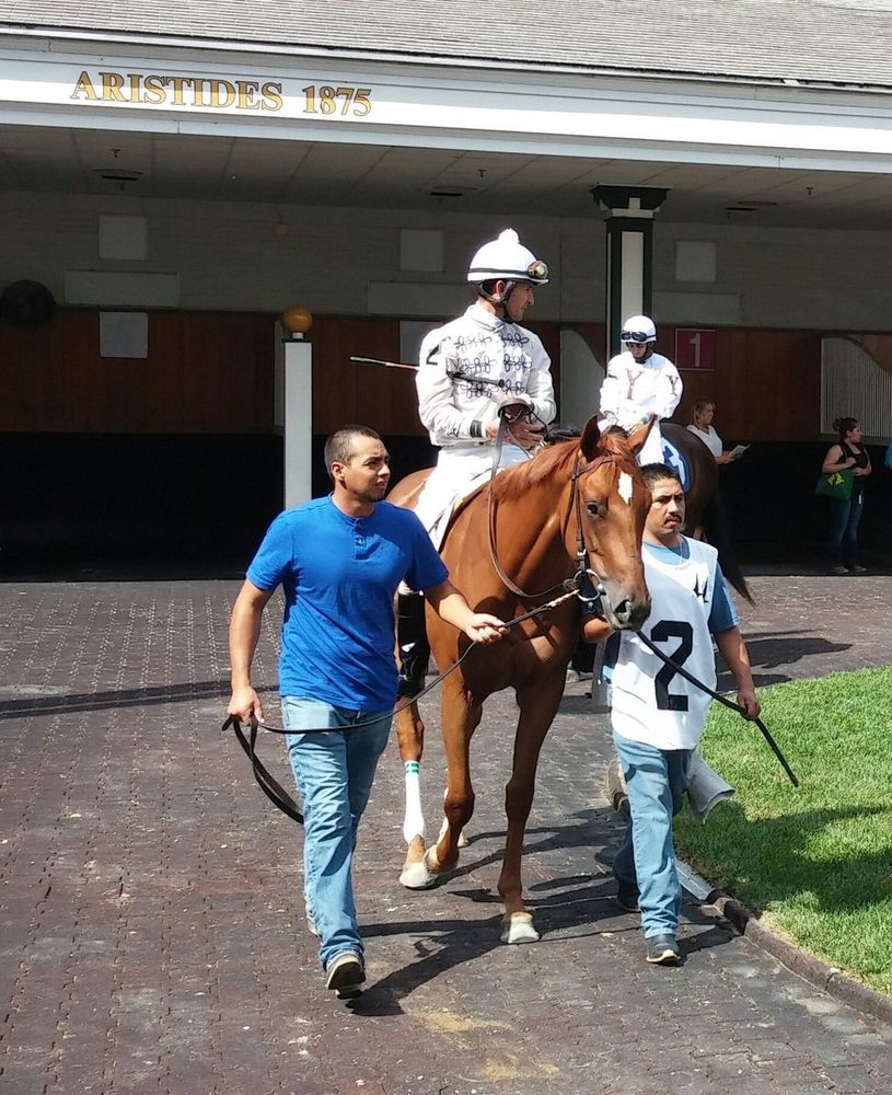 a chestnut mare walks down the horse path in a paddock, with saddling stalls behind her. she is walked out by two grooms, one in the left with a blue shirt and one on the right with a white vest, with the number 2 on it. a jockey sits astride; he wears a white cap and a white shirt with a black loop pattern on it.