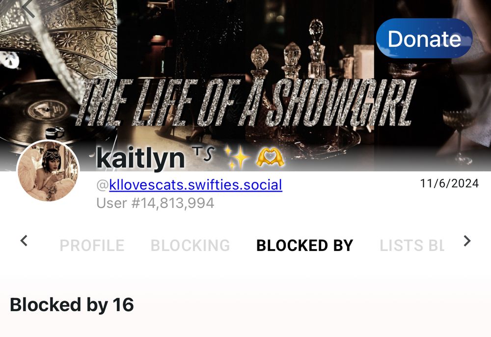A screenshot of Clearsky showing that user kllovescats.swifties.social is blocked by 16 users. 