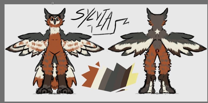 a furry great horned owl, her name is sylvia