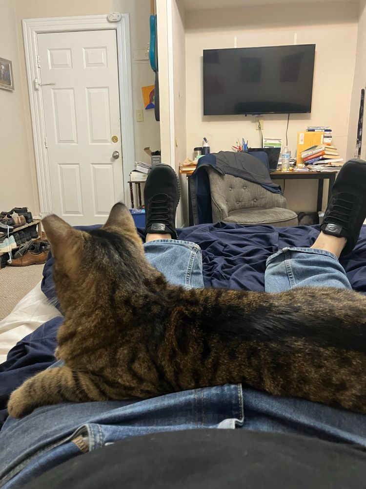 A cat sitting on a man’s lap as a man lies on a bed. 