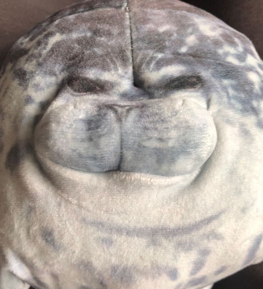 Dumb thing I bought for my mother