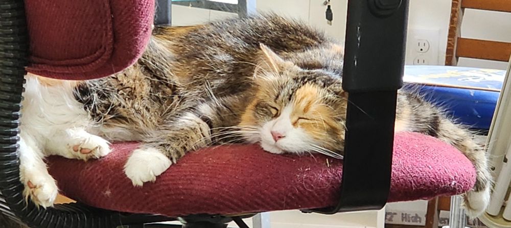 Saturday mornings are for sleeping!