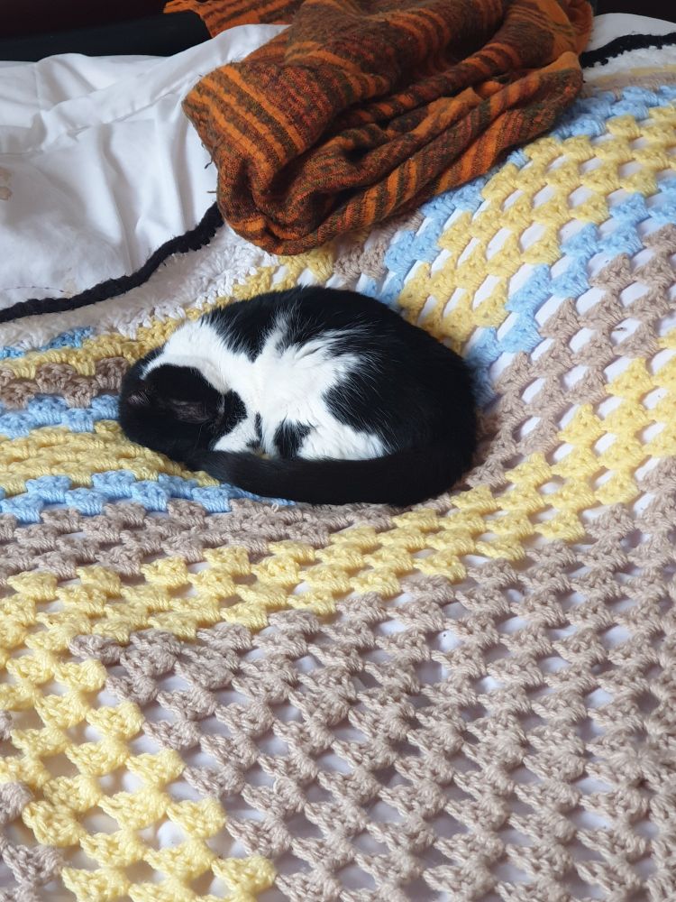 Leopold, a tiny black & white cat, curled up asleep on a crocheted blanket.