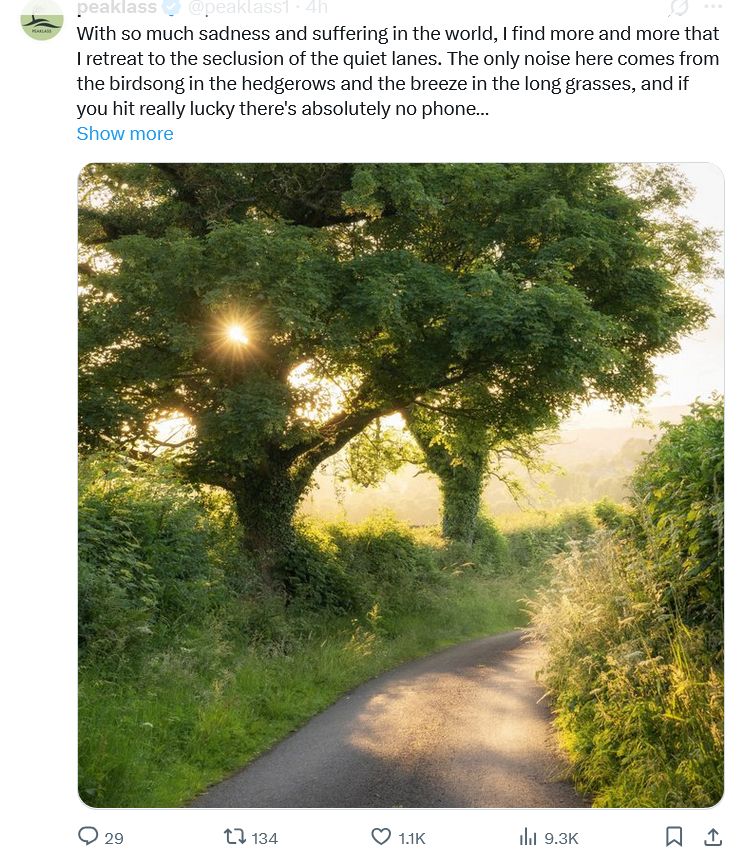 Post image (had no alt text on Bluesky)