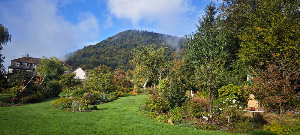 Blick in den parkartigen Garten bei Sonnenschein 