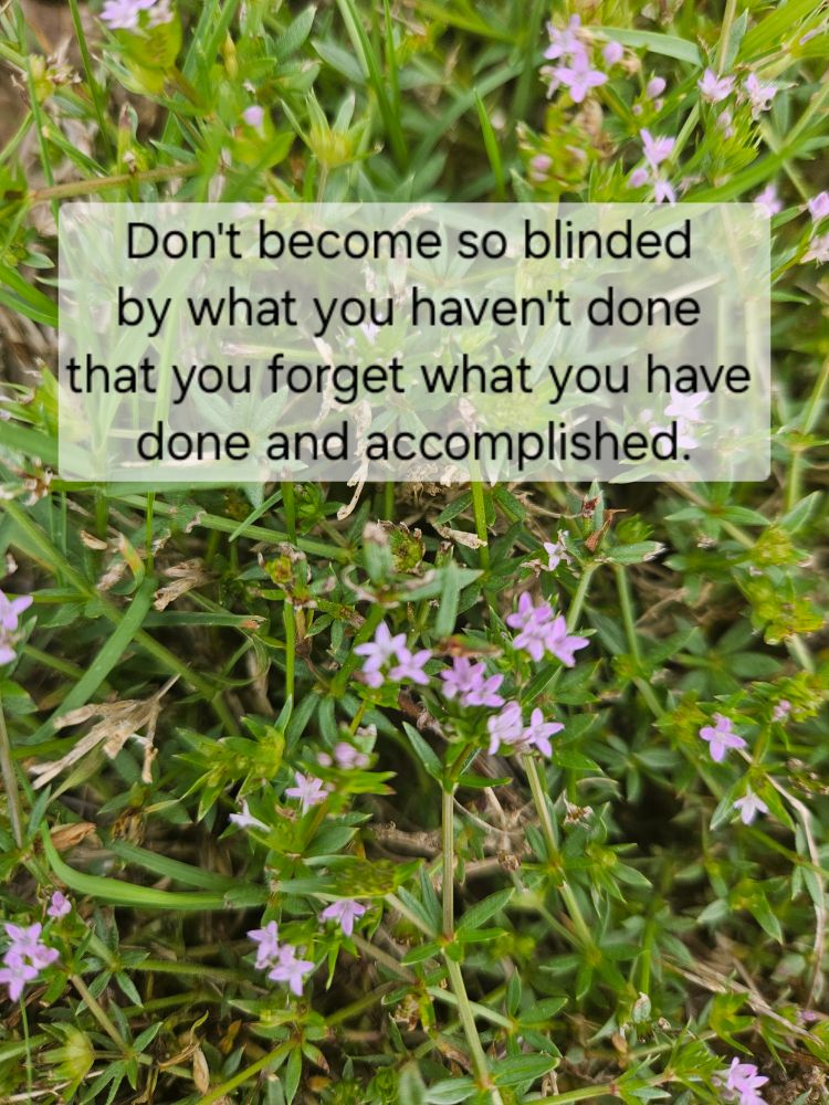 Don't become so blinded by what you haven't done that you forget what you have done and accomplished.