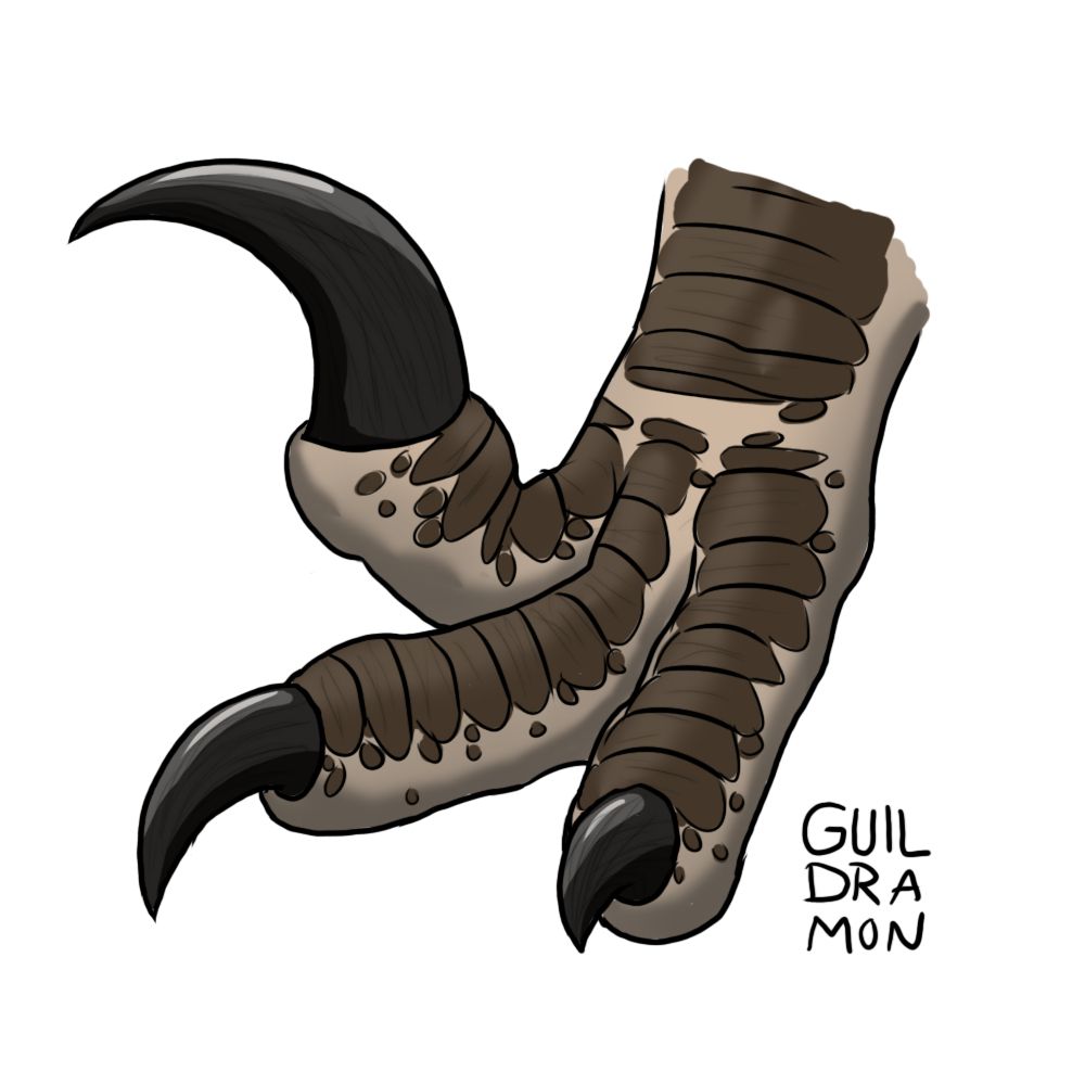 Digital drawing of the foot claws of a Utahraptor