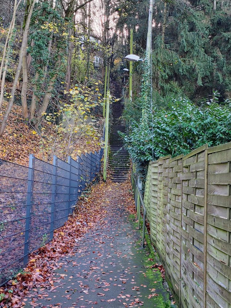 A steep path and stairs going up a hill