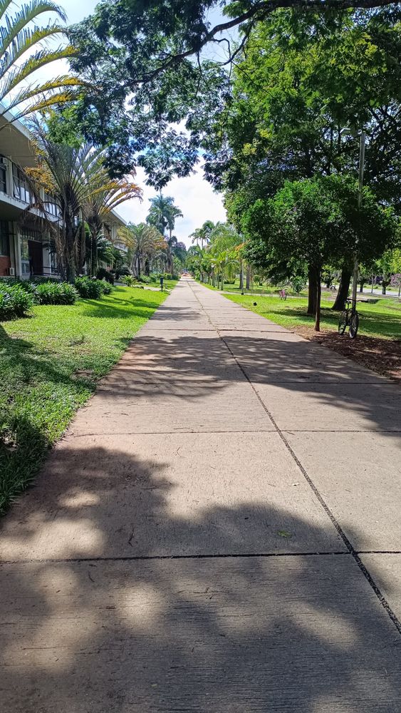 View of a sidewalk of Viçosa campus Brazil 