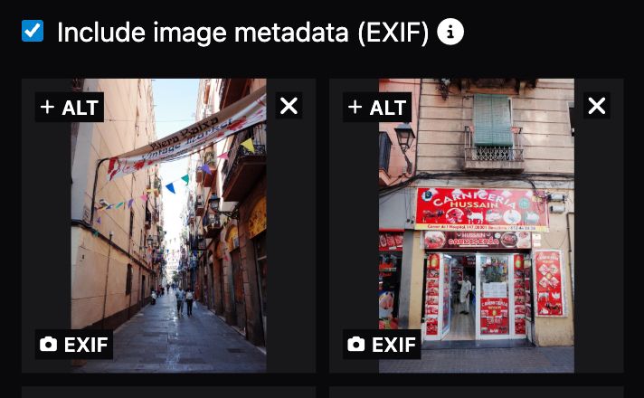 screenshot of the uploads page on grain showing buttons to delete, edit alt text, and view EXIF settings.