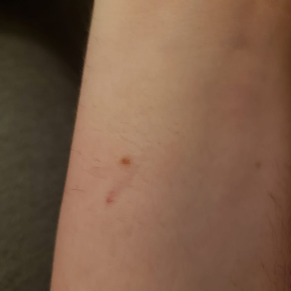 After the tragic event