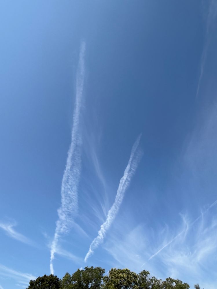 Blue sky with white contrails and wispy clouds above green trees.