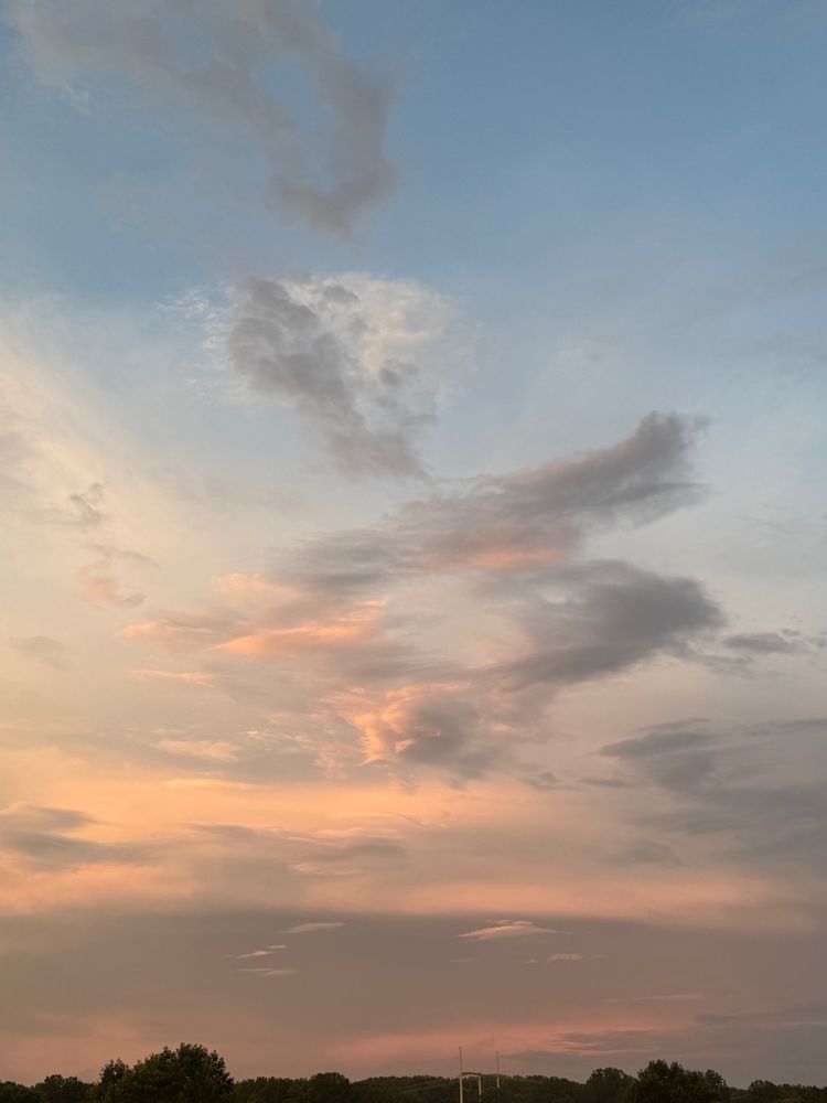 Sunset clouds, orange, grey, against blue and grey sky, above tree-line silhouette. 