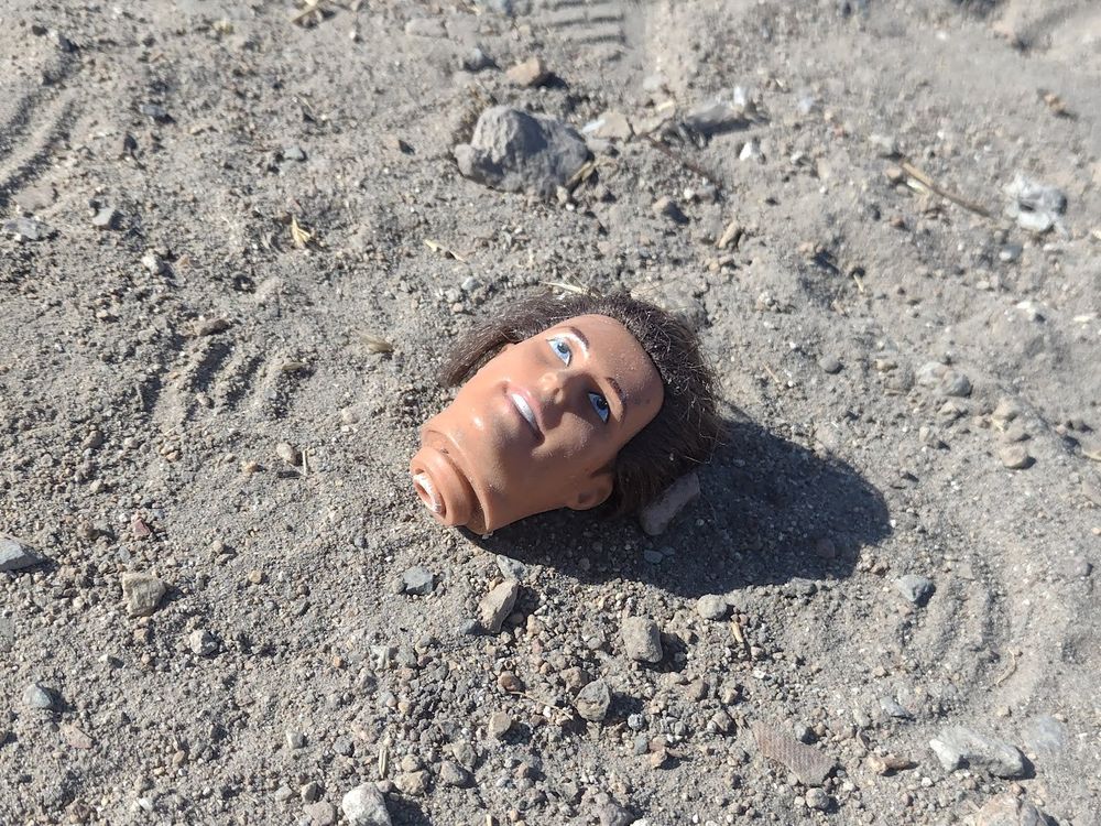 Smiling Ken doll head on the dusty ground. on top of a shoe track.