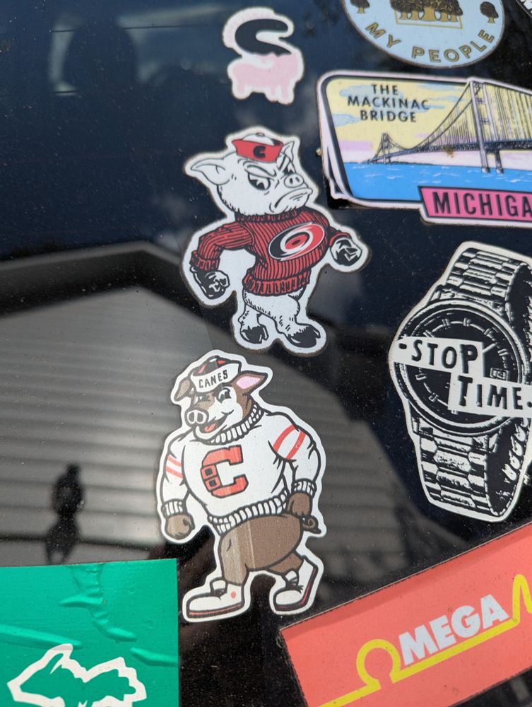 2 different Stormy designs on stickers on back window of car.