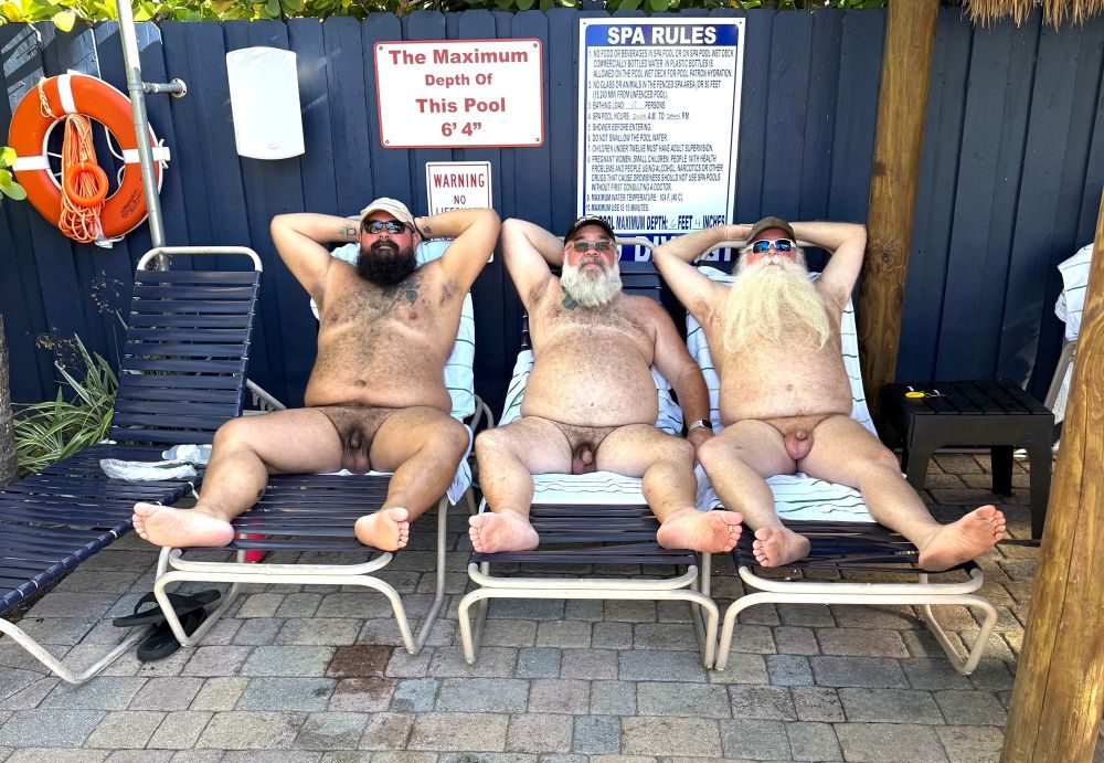 Three naked bears stretched out poolside on reclining pool chairs