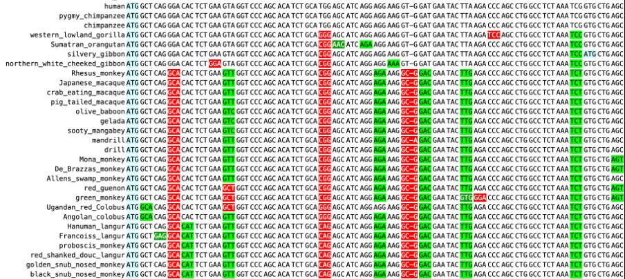 Codalignview analysis of one of the 16 coding genes