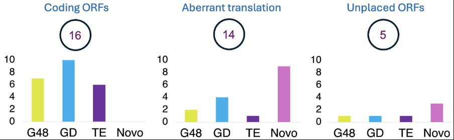 Numbers of genes in each of the three groups. In yellow the numbers of genes we found annotated as coding by GENCODE in v48 (G48). In reality we disagree with more than just 3 genes, since GENCODE annotated eight or nine copies of the POM121L1P repeats as coding along with the three paralogues of ENSG00000293661, at least two of which are highly likely to be pseudogenes.